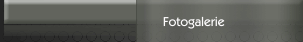Fotogalerie